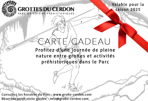 carte-cadeau-billet-non-date