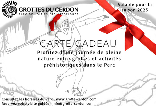 carte-cadeau-billet-non-date